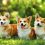 To Breed Or Not To Breed