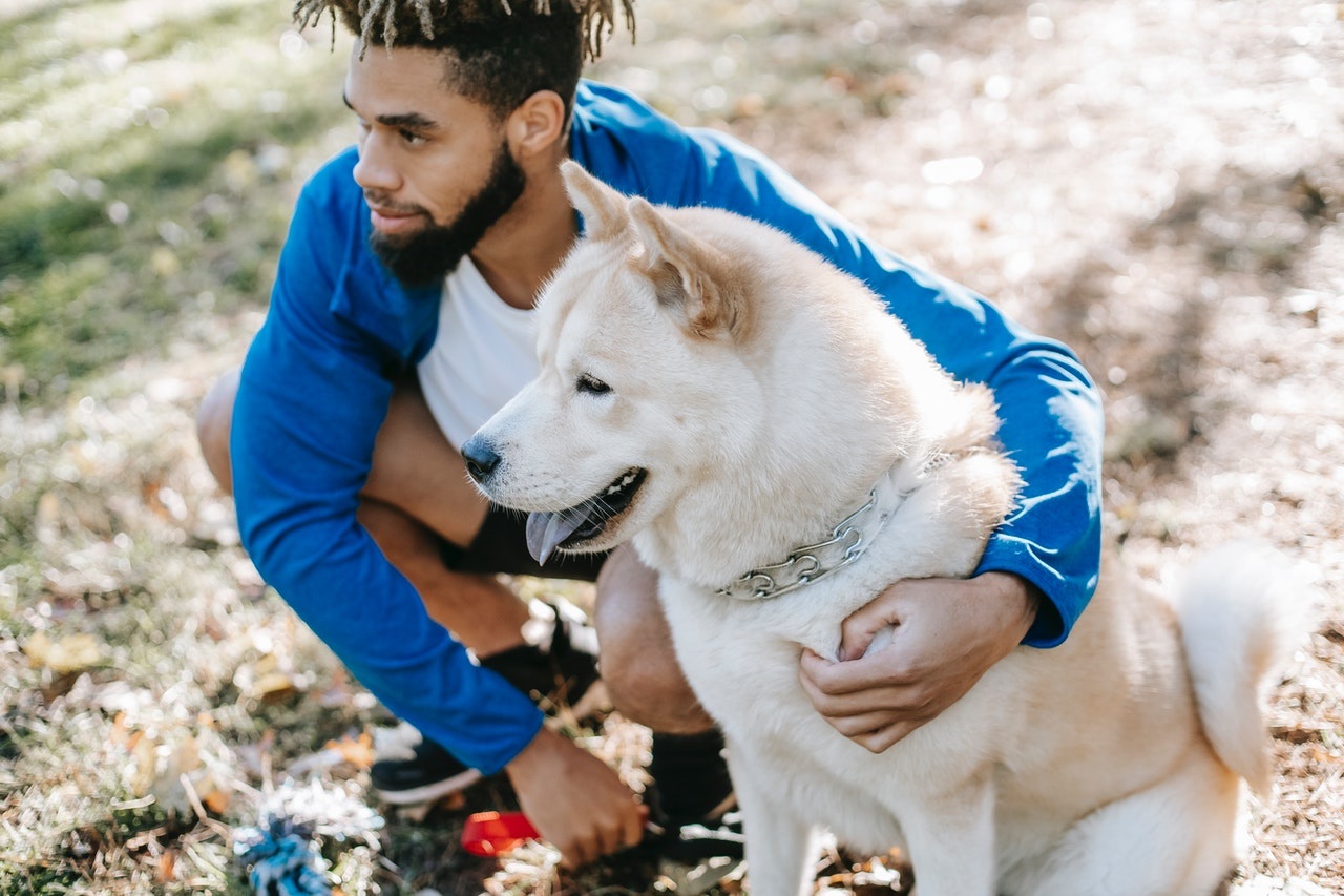 Train the Puppy to Remember Its House